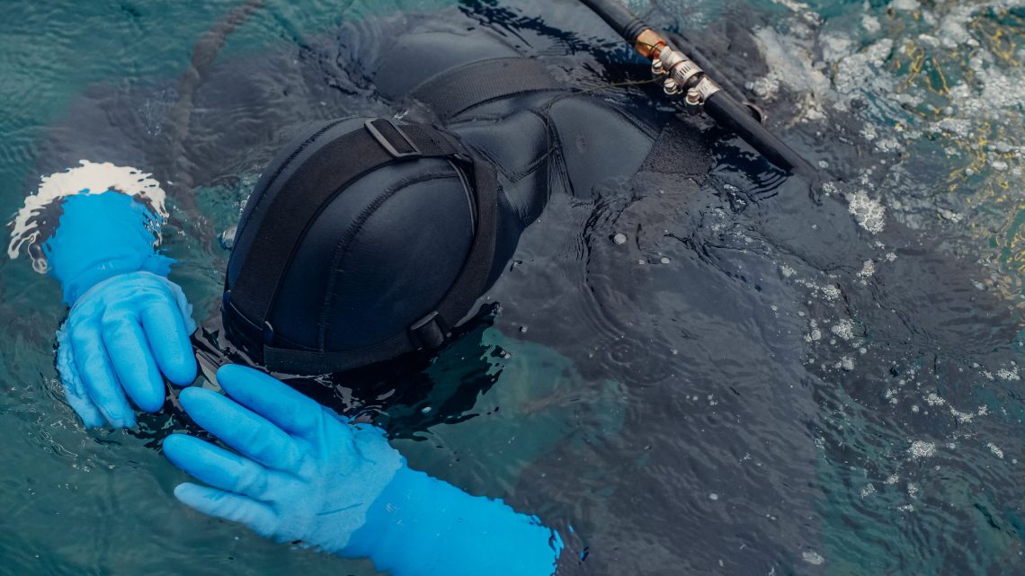 Freediving – jak długo można wstrzymać oddech?
