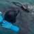 Freediving – jak długo można wstrzymać oddech?