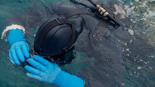 Freediving – jak długo można wstrzymać oddech?